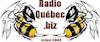 radiobizz.png