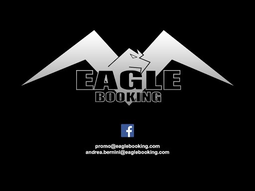 eagle1.jpg